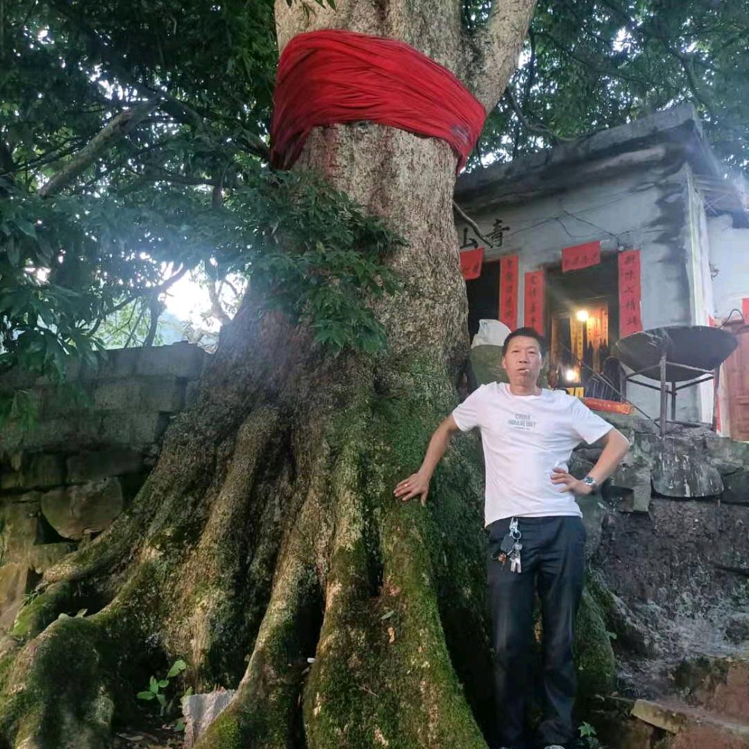 王师