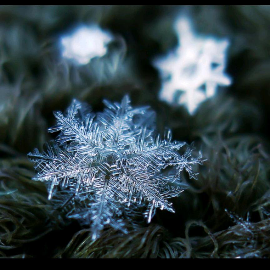 半生雪