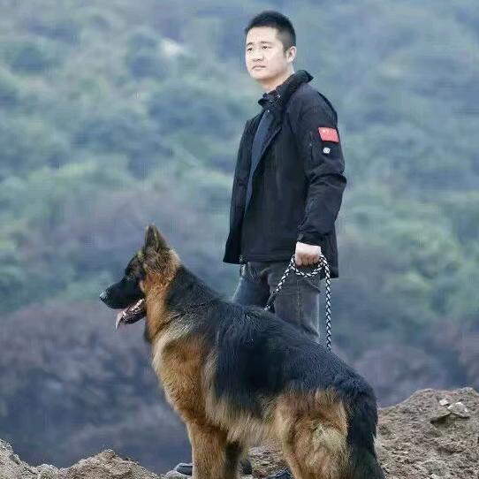 深圳雷喏斯达犬业