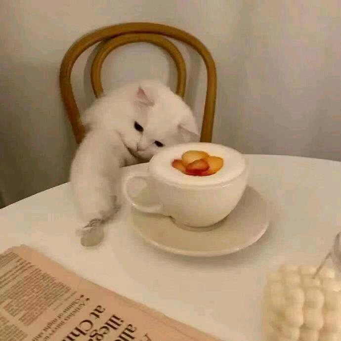 曾经