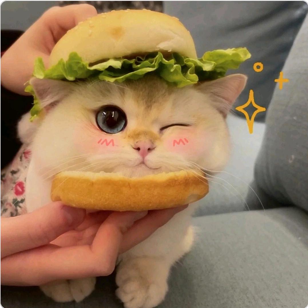 ∝头像