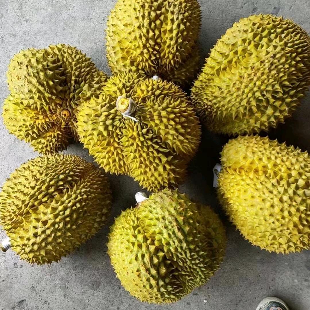 啊❤️龙