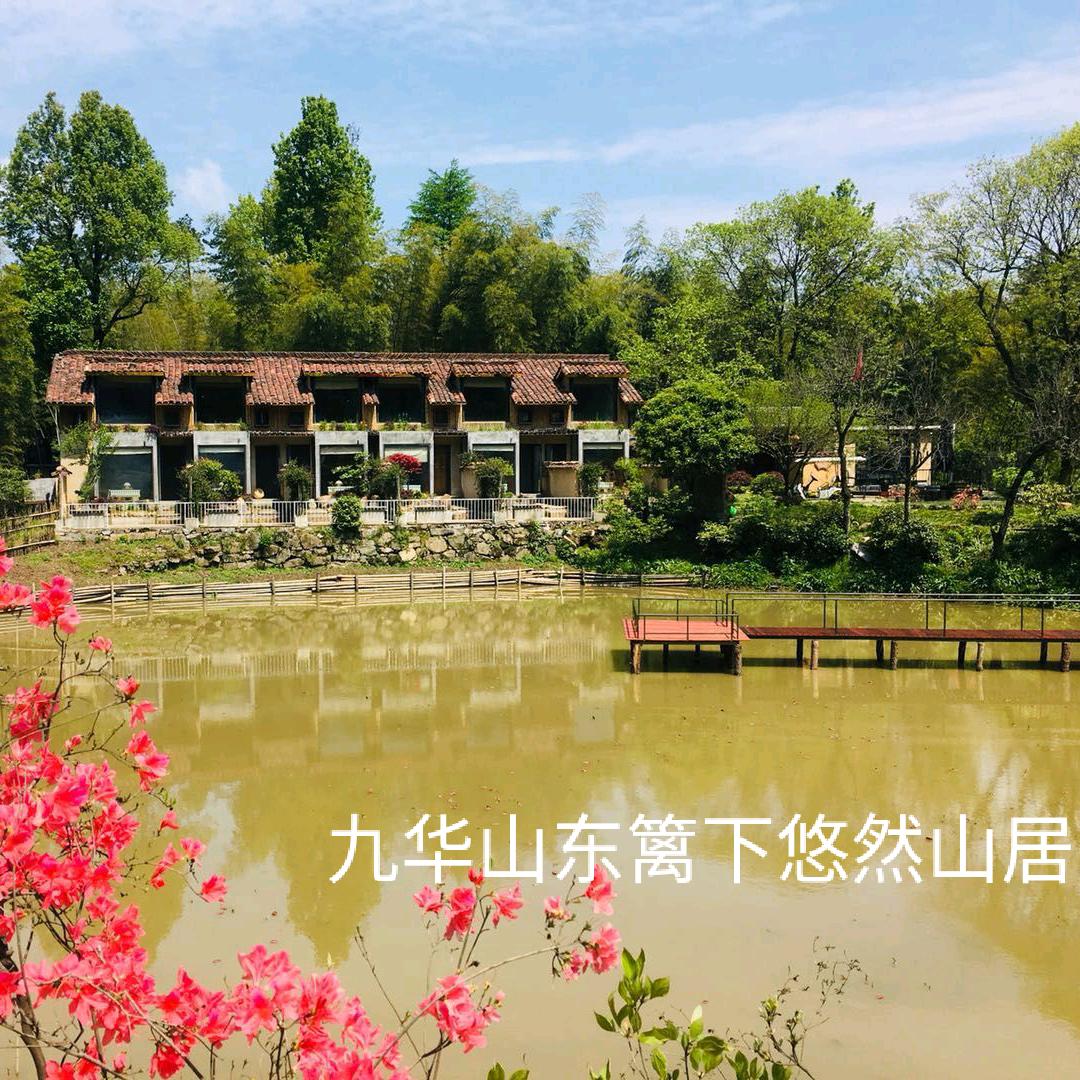 九华山章伟@果静