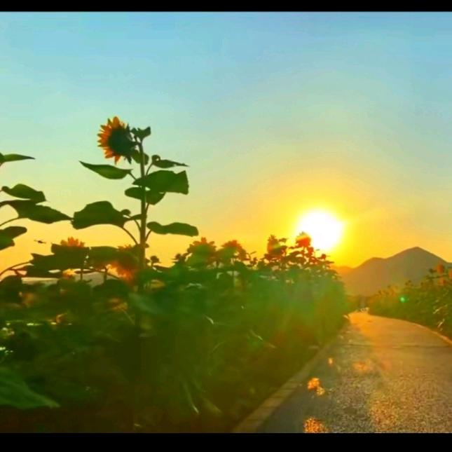 小摄世界