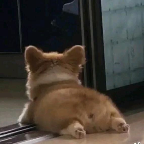 杰叔🐷吃不好🚛