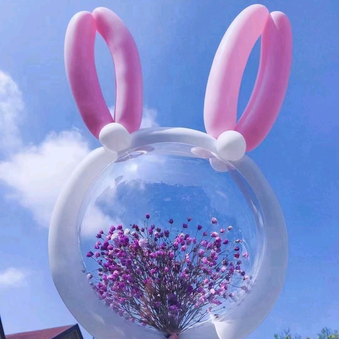 🐠会飞的鱼🐠