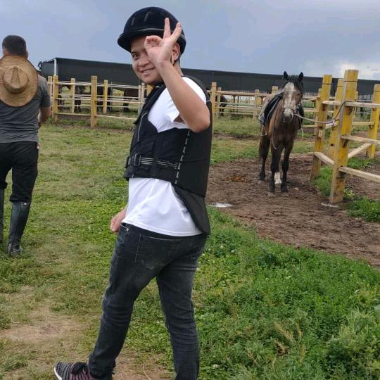 铁郭炖大鹅