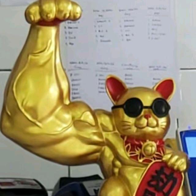 老街巷口的野猫（小无敌）