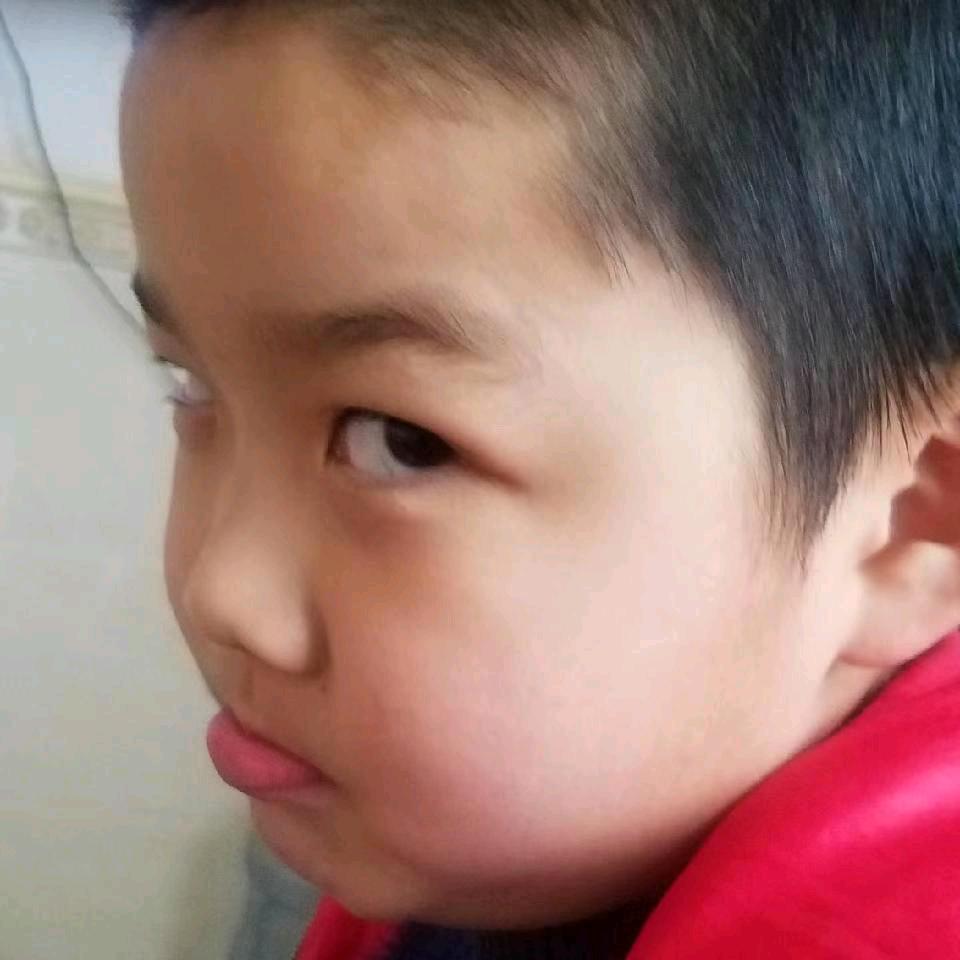 宝哥