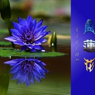 ꧔ꦿ࿐้顺李成张🦹¹ᶟ₁₄