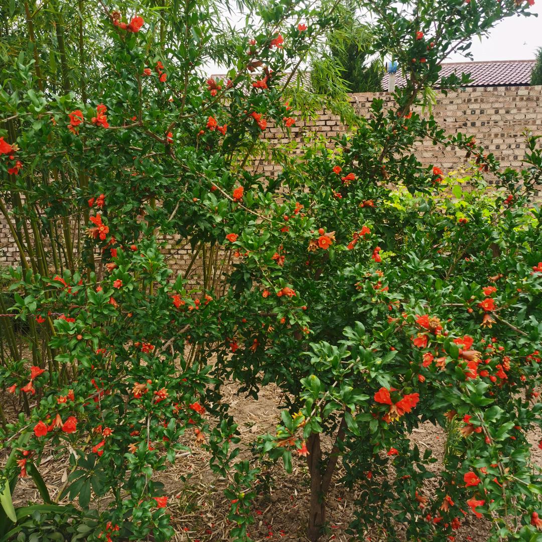 好