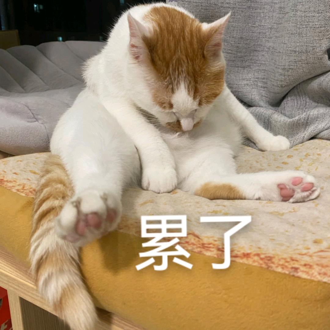 中年头秃胖子头像