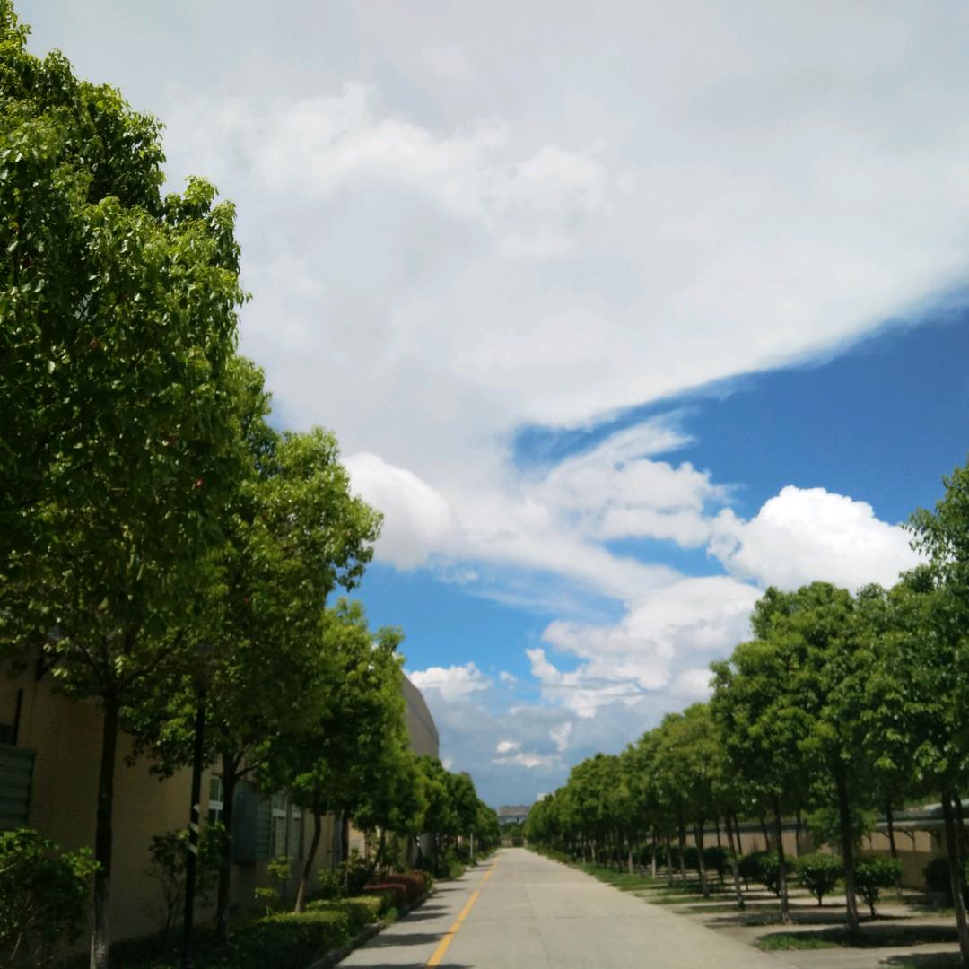 ☞探店yon✔行走者☞