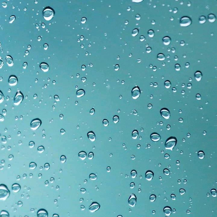 浩*