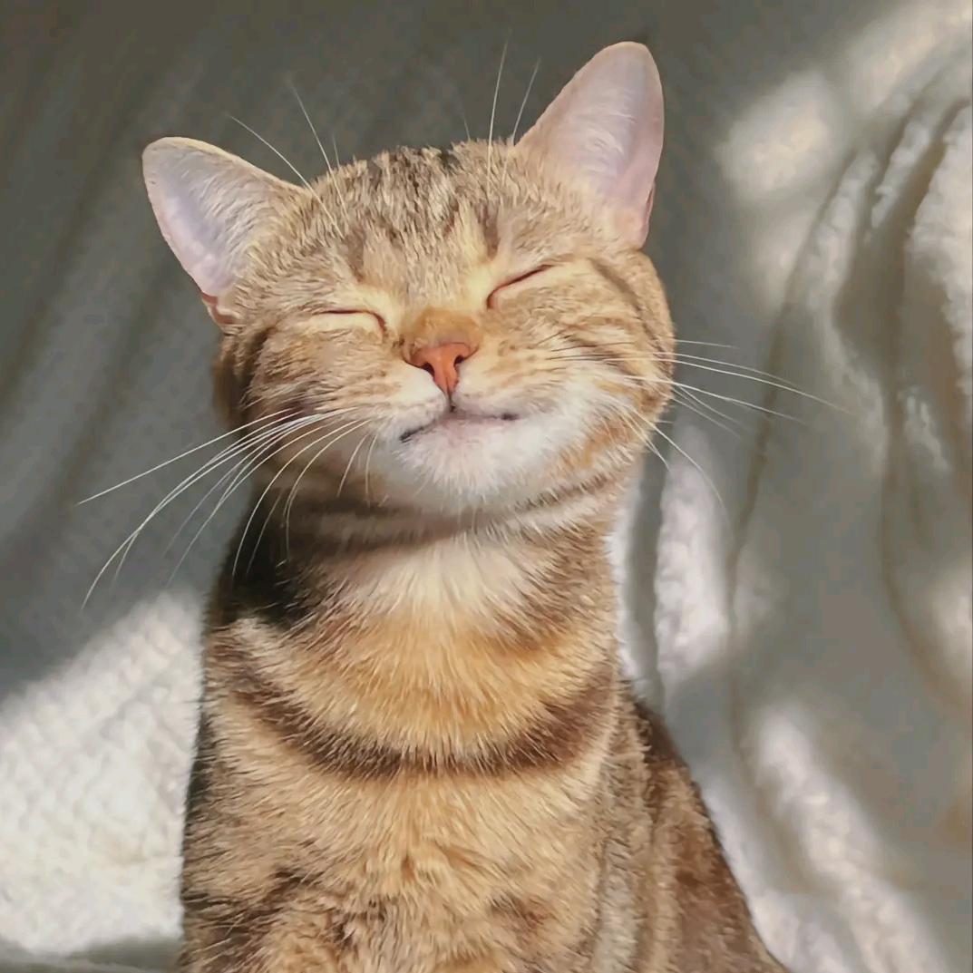 ᵈ(˵¯͒〰¯͒˵)ʸ