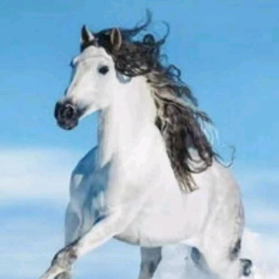 牛牛牛牛牛牛牛牛牛牛牛牛牛牛牛牛牛牛牛牛