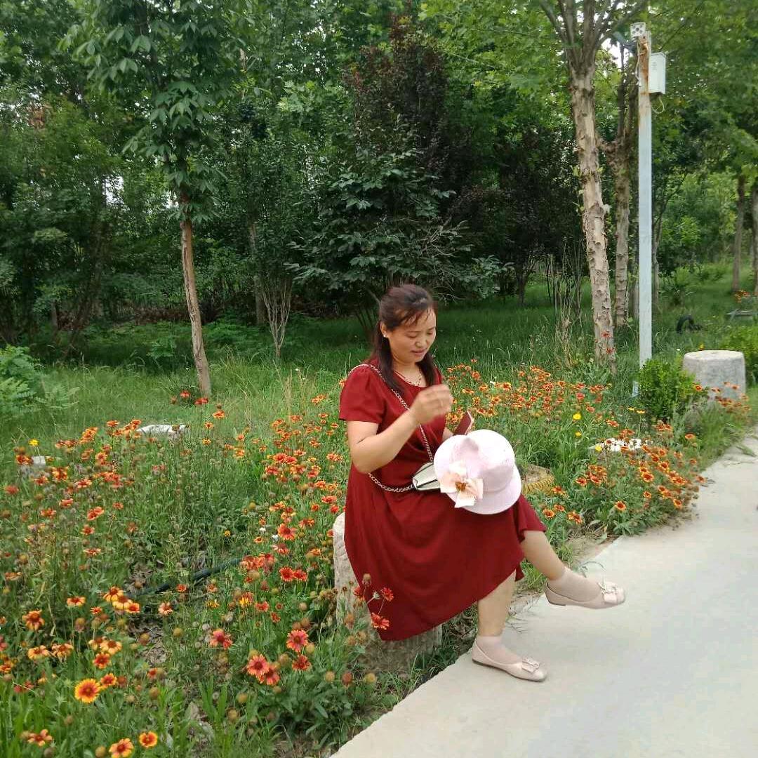 不经历风云，怎能见彩虹