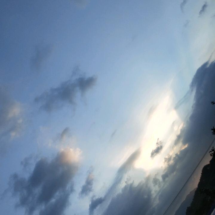 奈何明月照沟渠