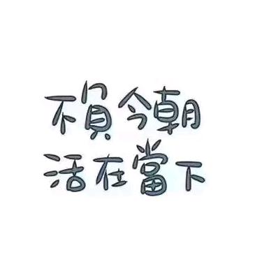 随心远行