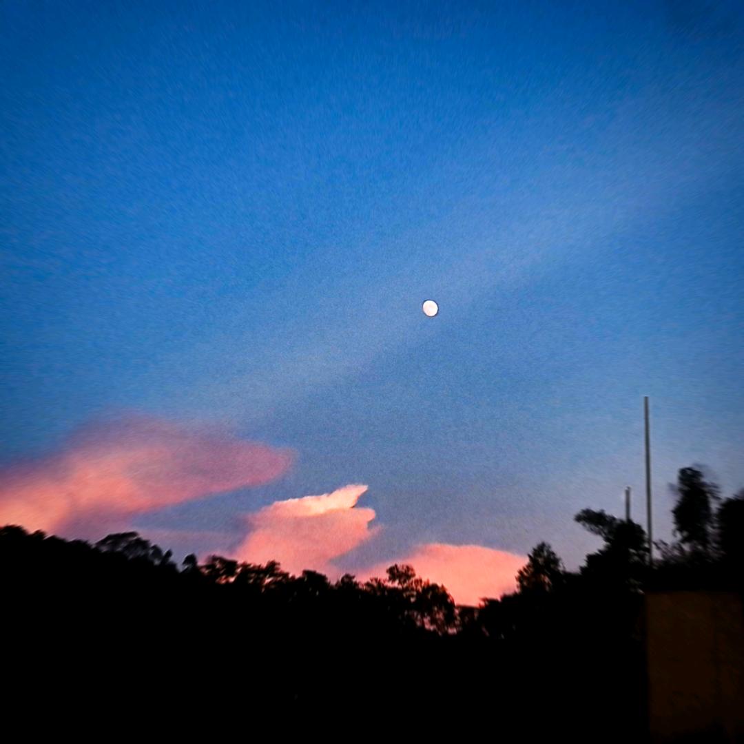 日常生活（陈）