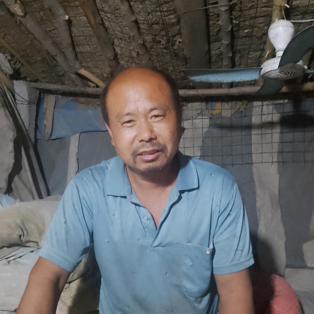 喂羊哥小齐