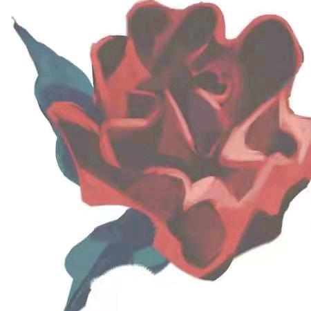 菊菊花茶