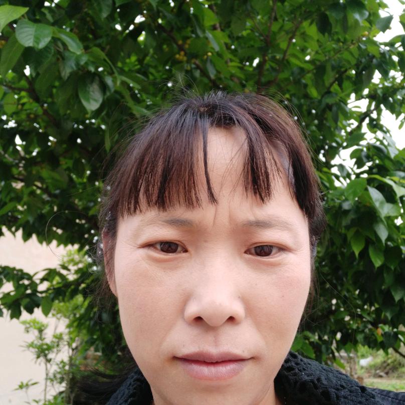 琴子