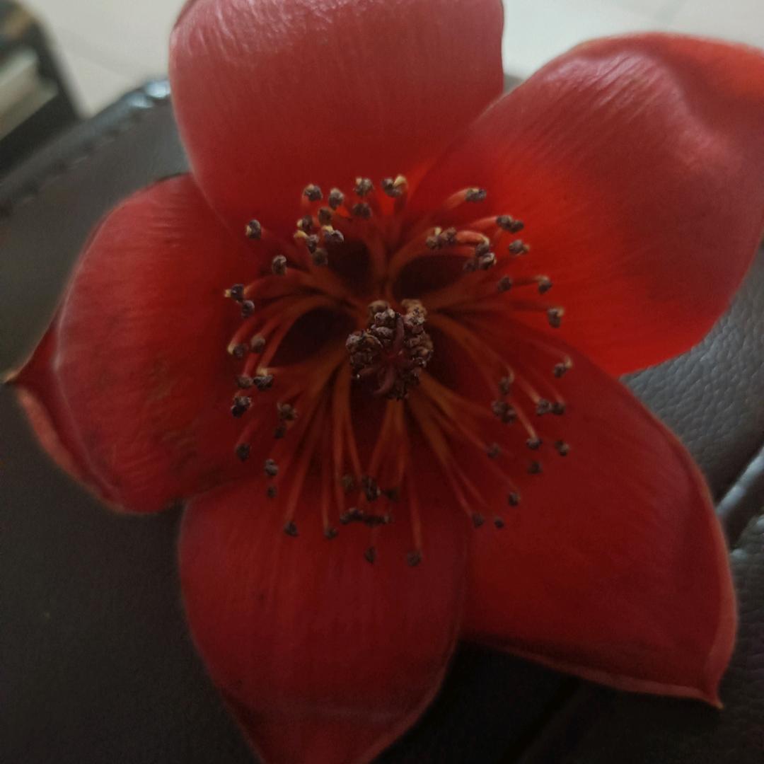 我是乐乐
