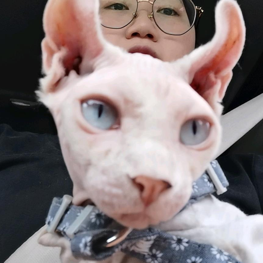 我的两个大冤种