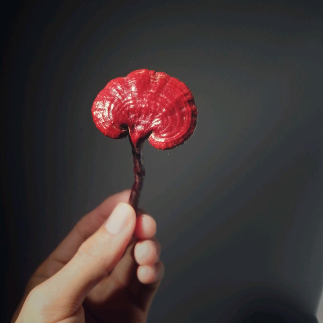 白巢牛尔文