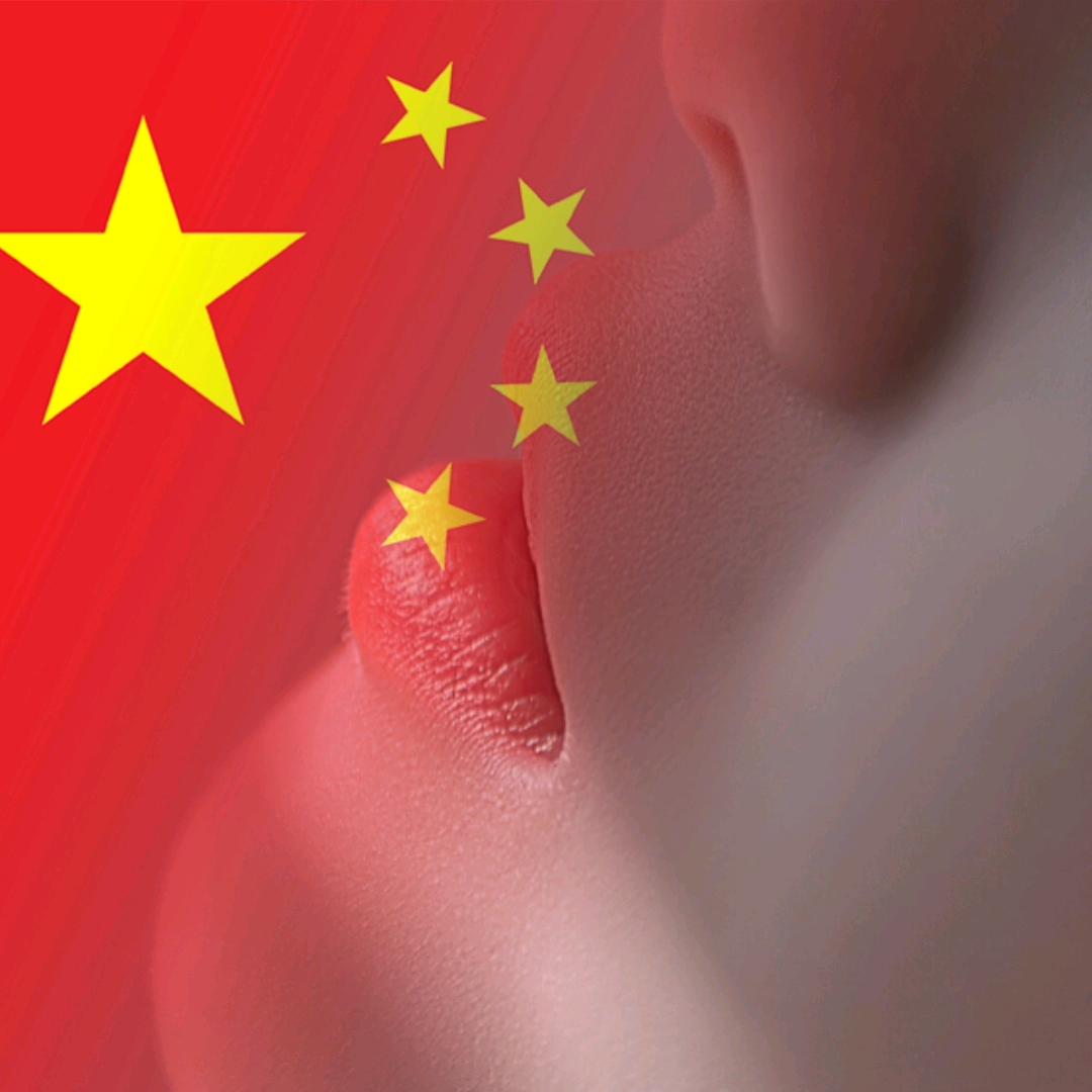 82年的小燕京