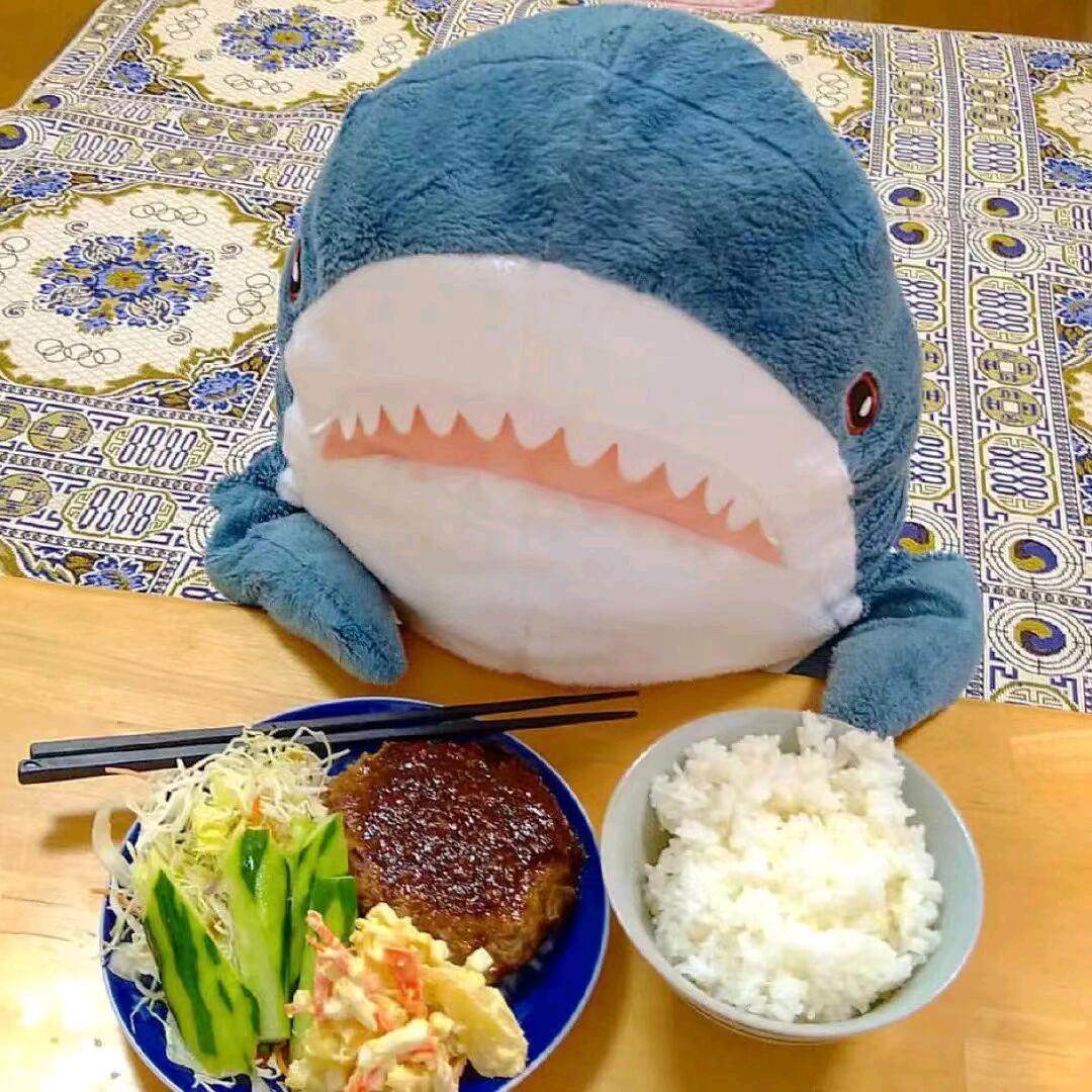 菜菜子