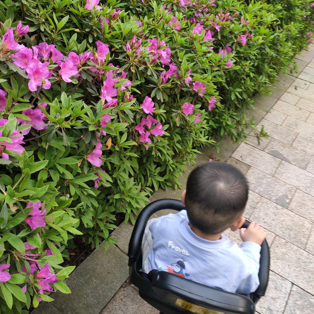雯制冰冰