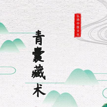 青囊有书