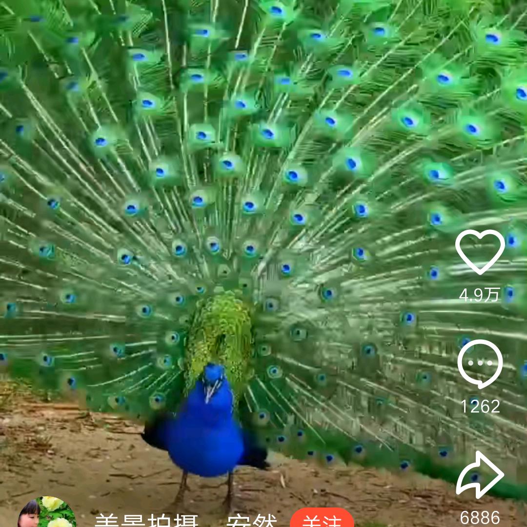 右手