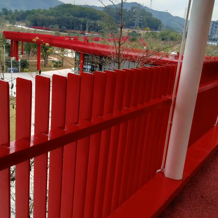 湘里胡杨