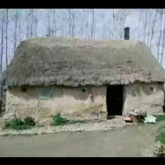 维国公寓一手房源出租（无中介费）