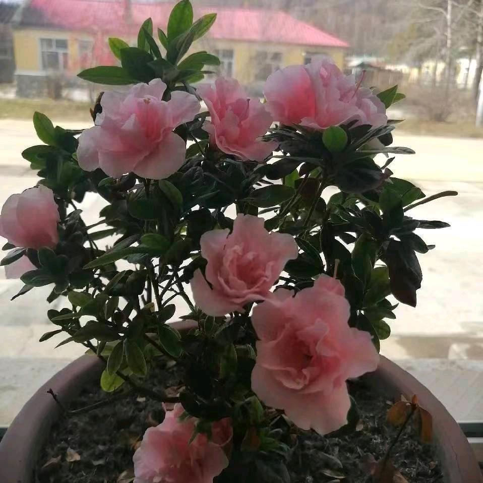 水色悠扬