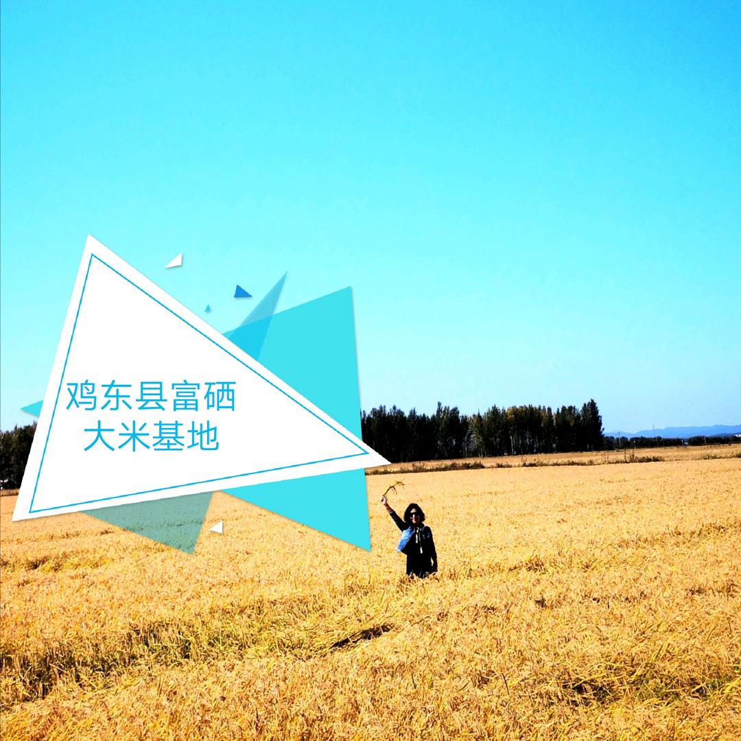 禾鑫源大米自产自销