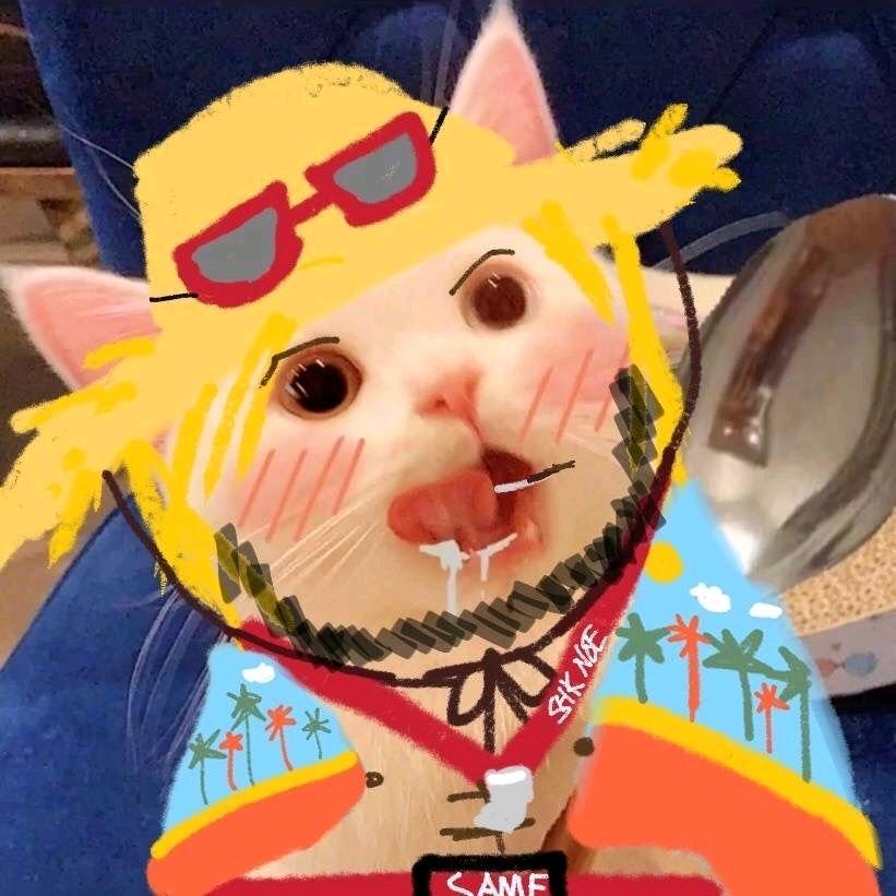 喵.