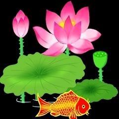 凯《坚强》按装各种皮门帘