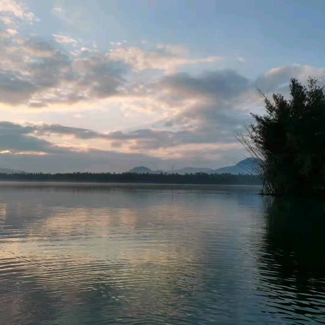 苏泽他爹汽车用品🔥