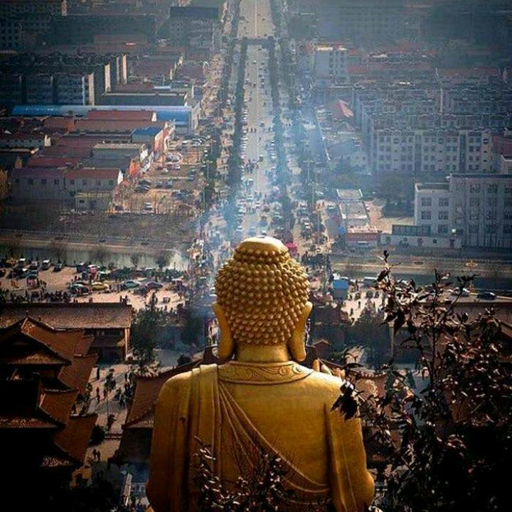 …随缘遇见…