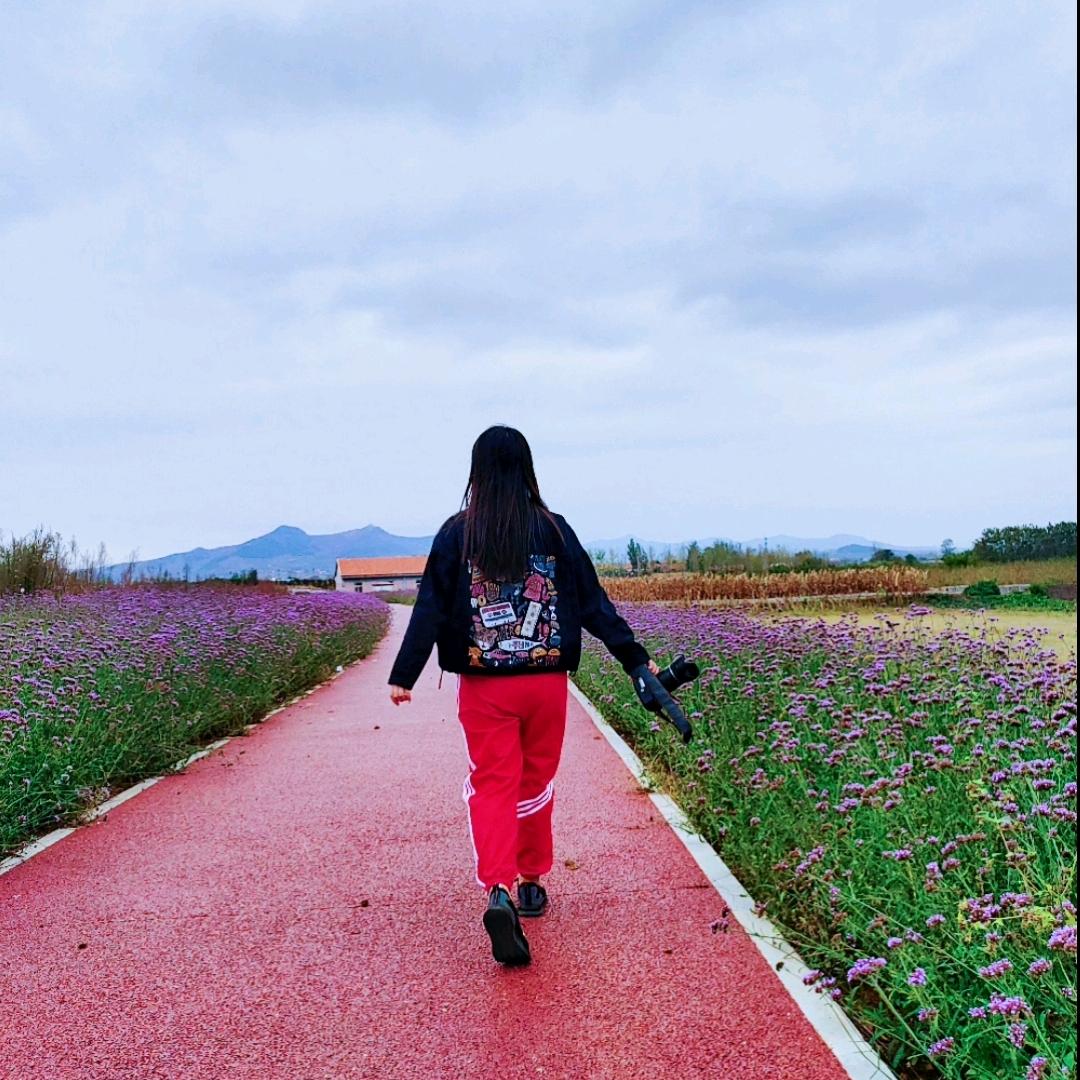 荷塘月色