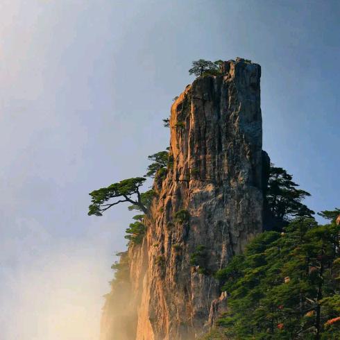 凉白开水
