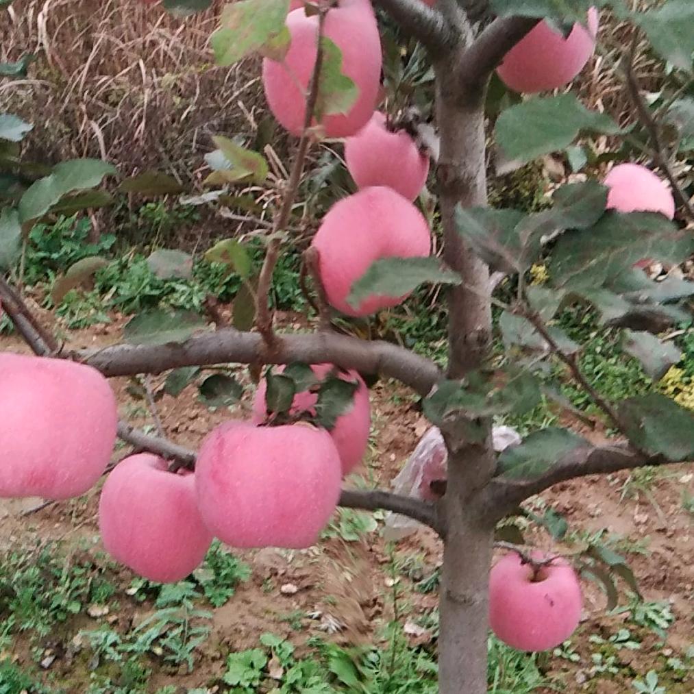 『开心』👬💑