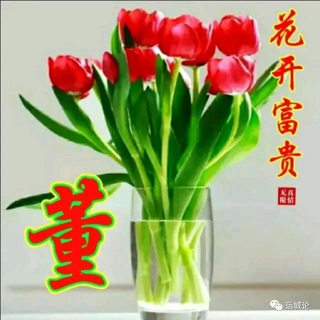 ⠀⠀⠀开❤️快乐每一天