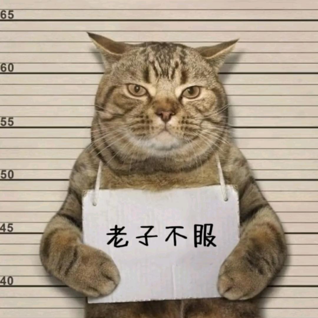 金。先森