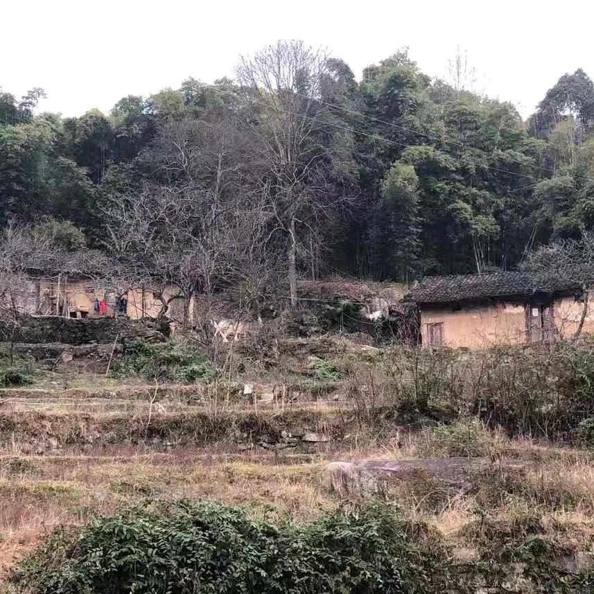 山里人