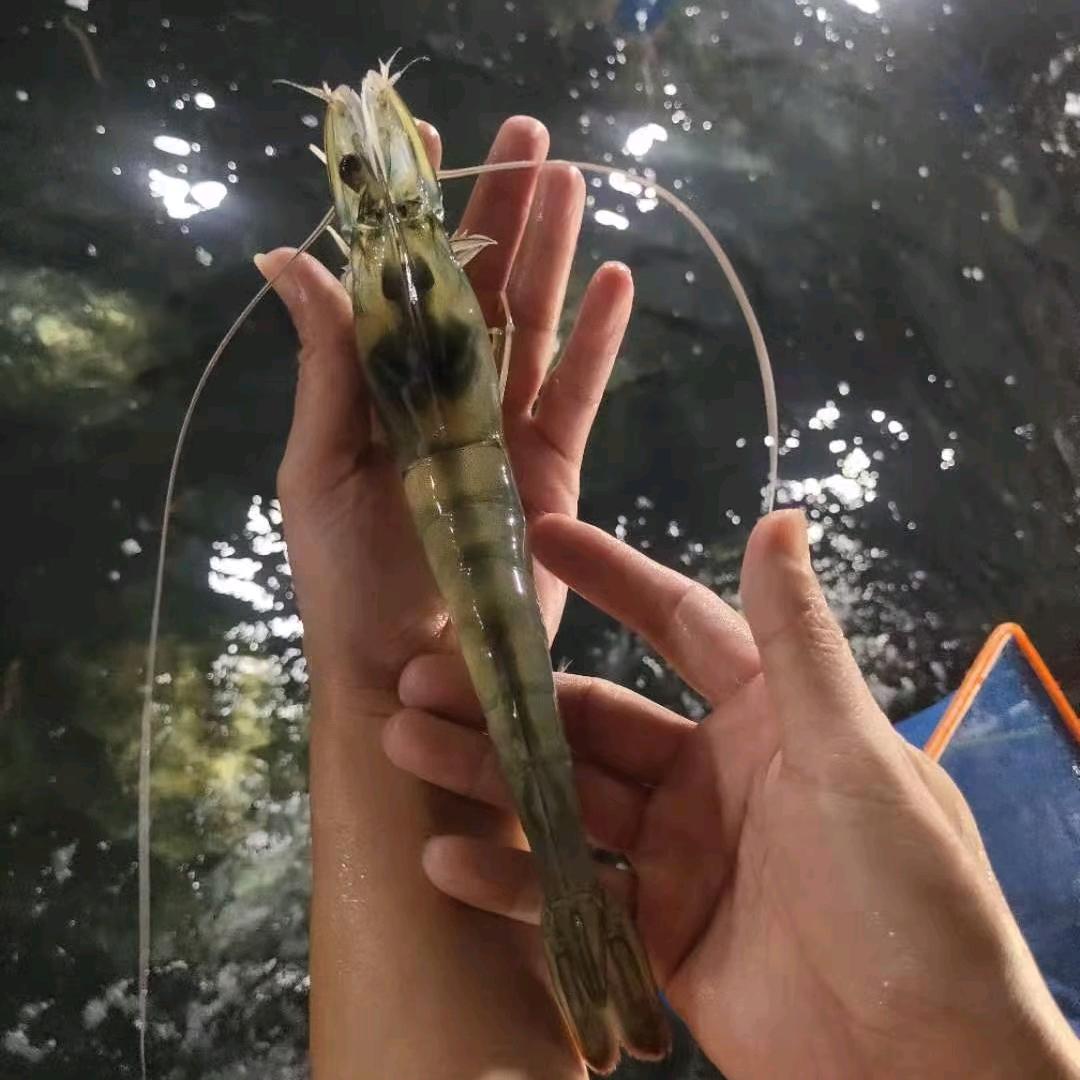精益水产